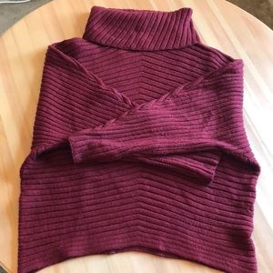 Burgundy Knit turtle neck sweater